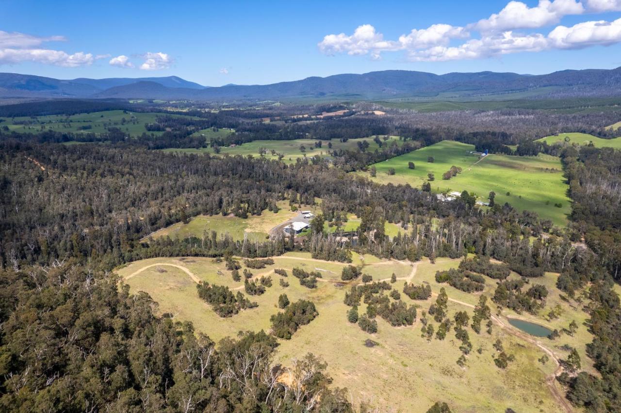 Saladin Lodge Narbethong Extérieur photo