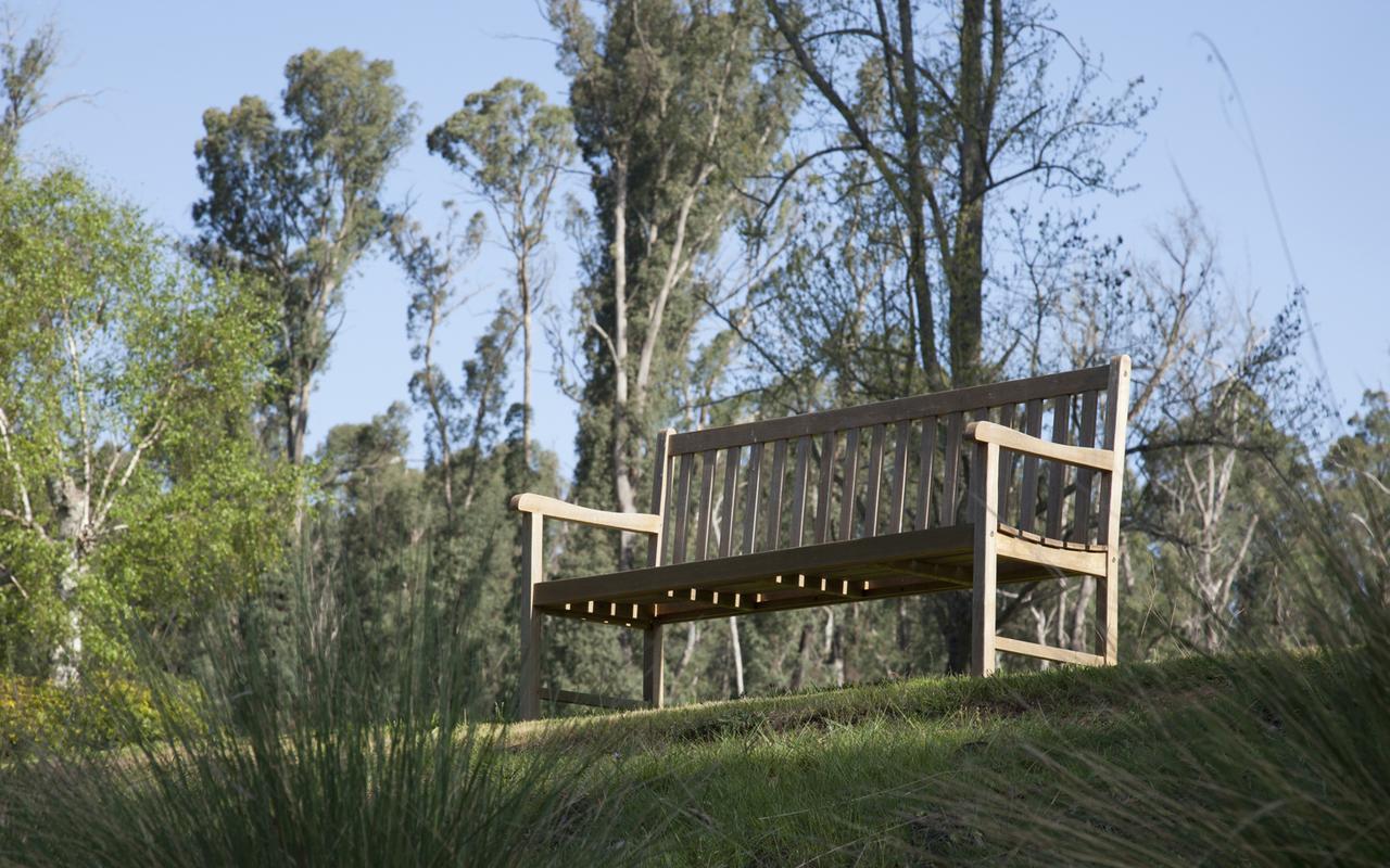 Saladin Lodge Narbethong Extérieur photo