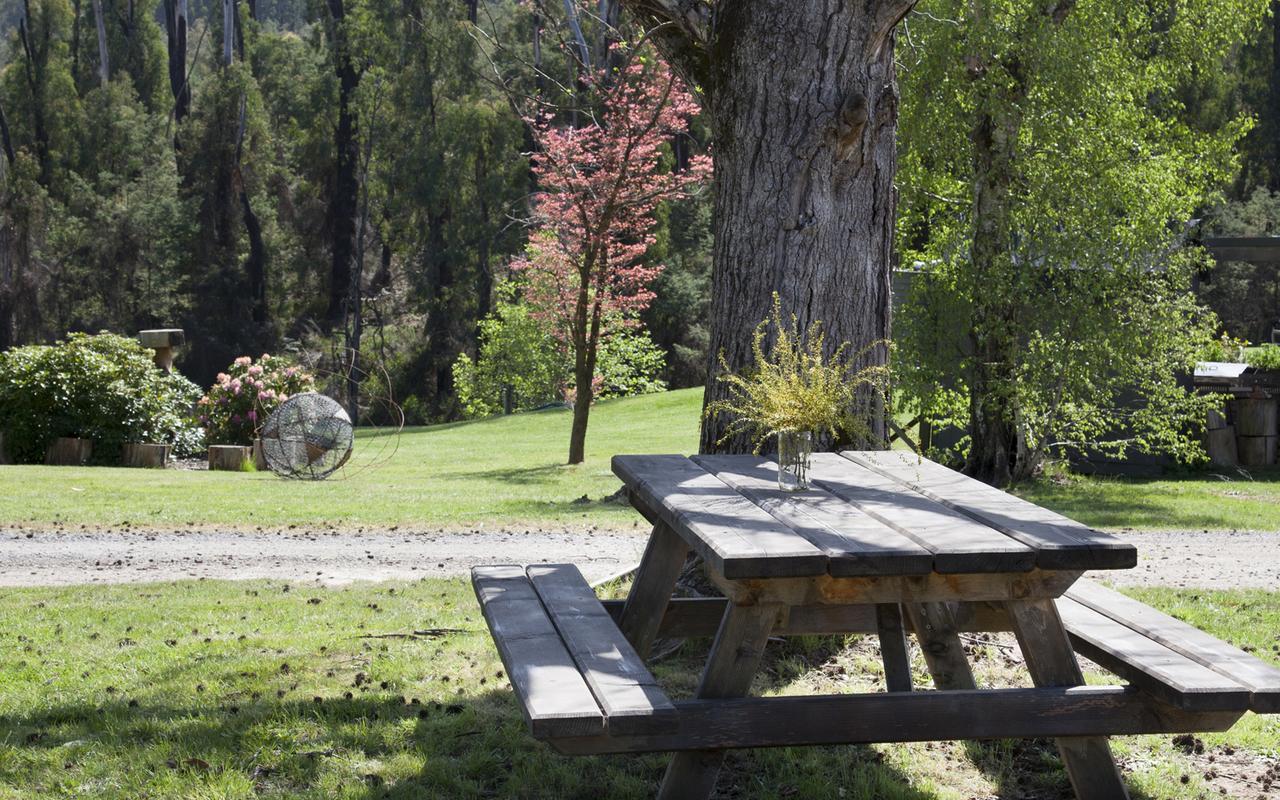 Saladin Lodge Narbethong Extérieur photo