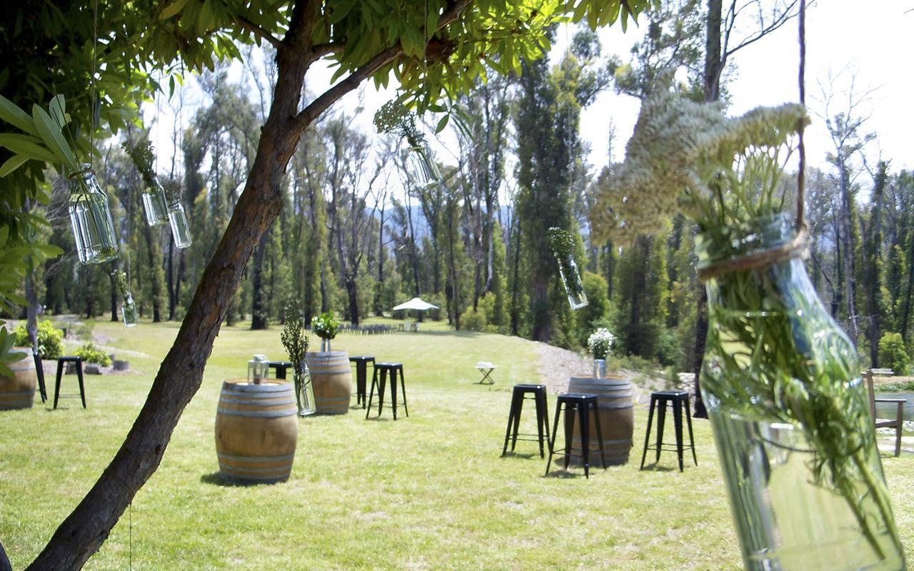 Saladin Lodge Narbethong Extérieur photo