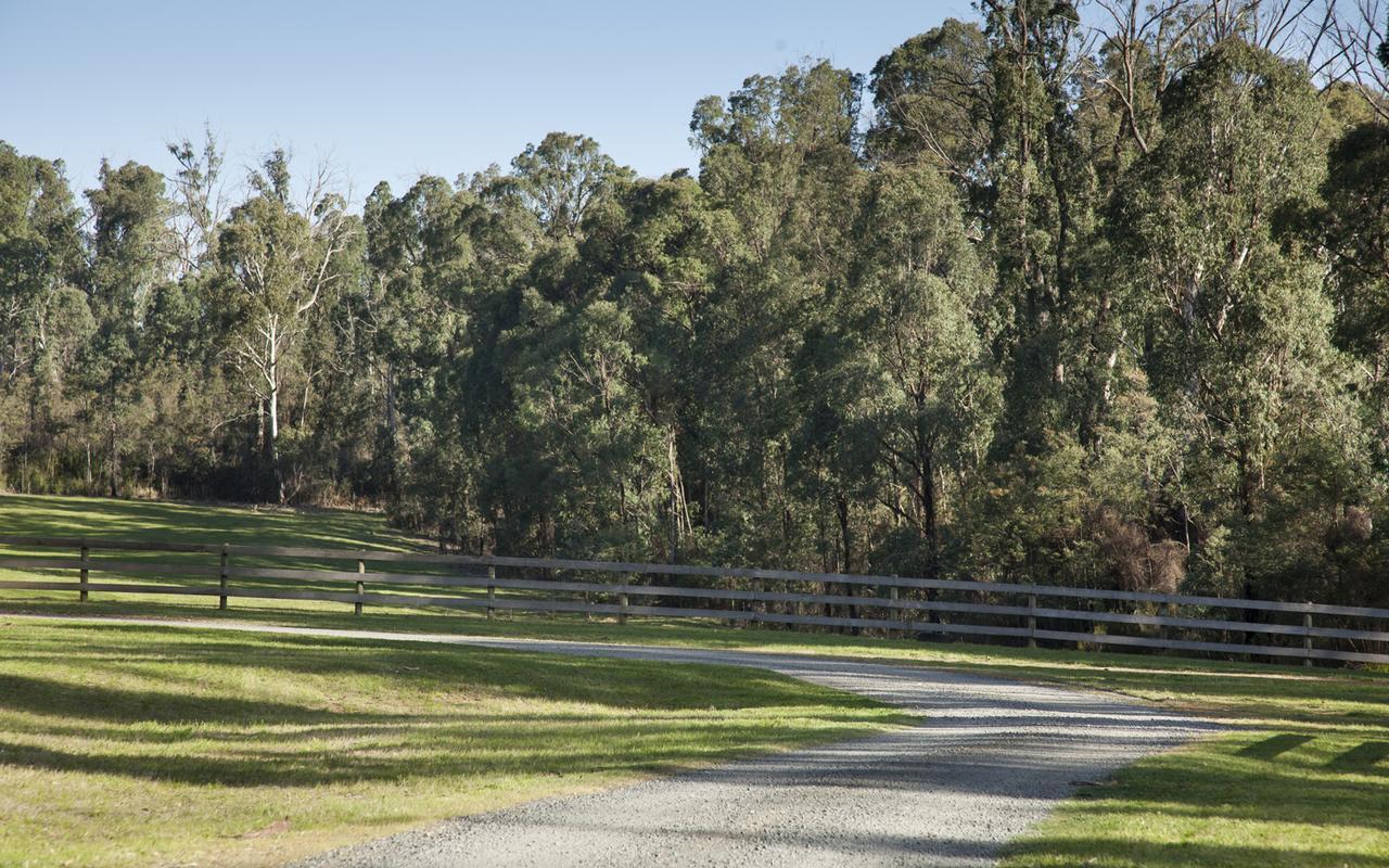 Saladin Lodge Narbethong Extérieur photo